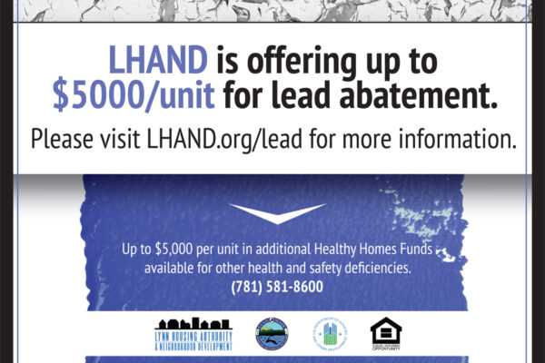 lhand-flyer